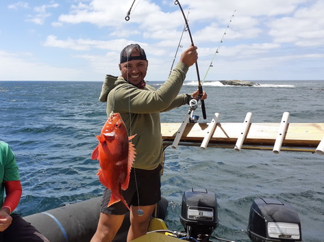 Red Roman fish caught during one of our Cape Town reef fishing trips